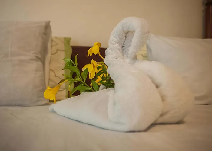 Guest house Clarridge View 4*